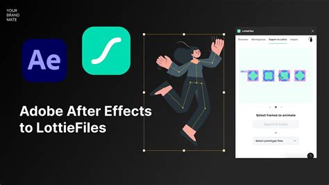 lottieflow|lottie after effects.